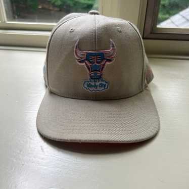 Vintage Chicago bulls fitted hat (Windy City) - image 1