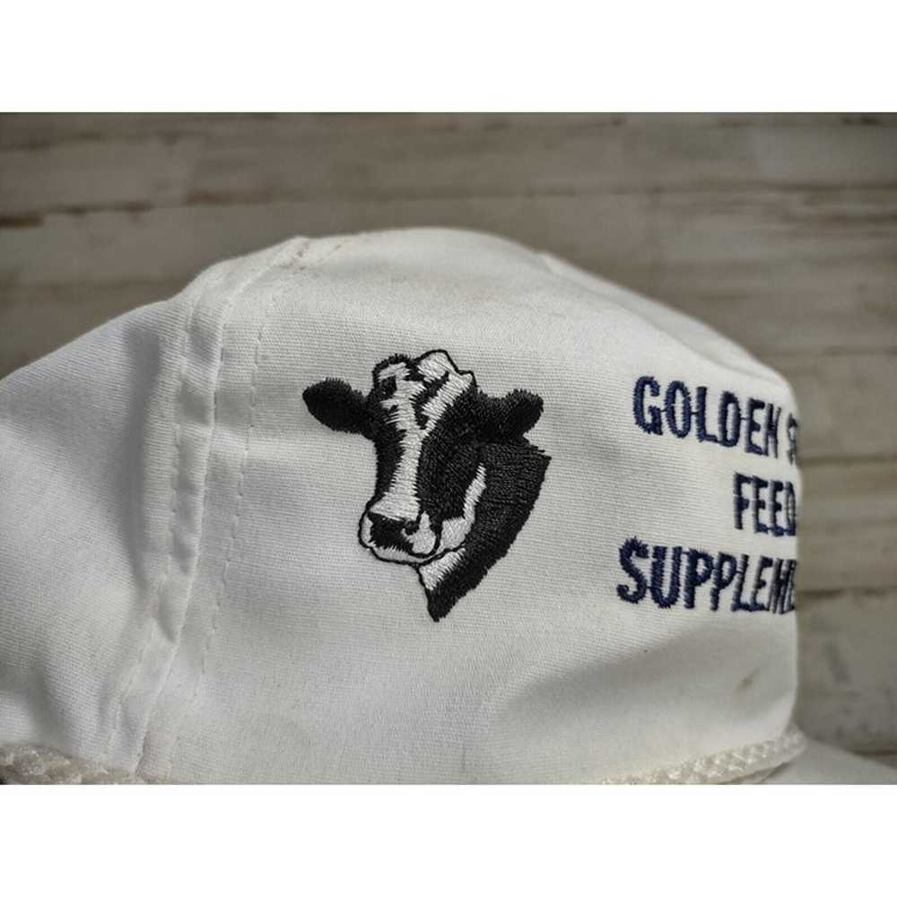 Vintage Golden State Feed Supplements Arm & Hamme… - image 7