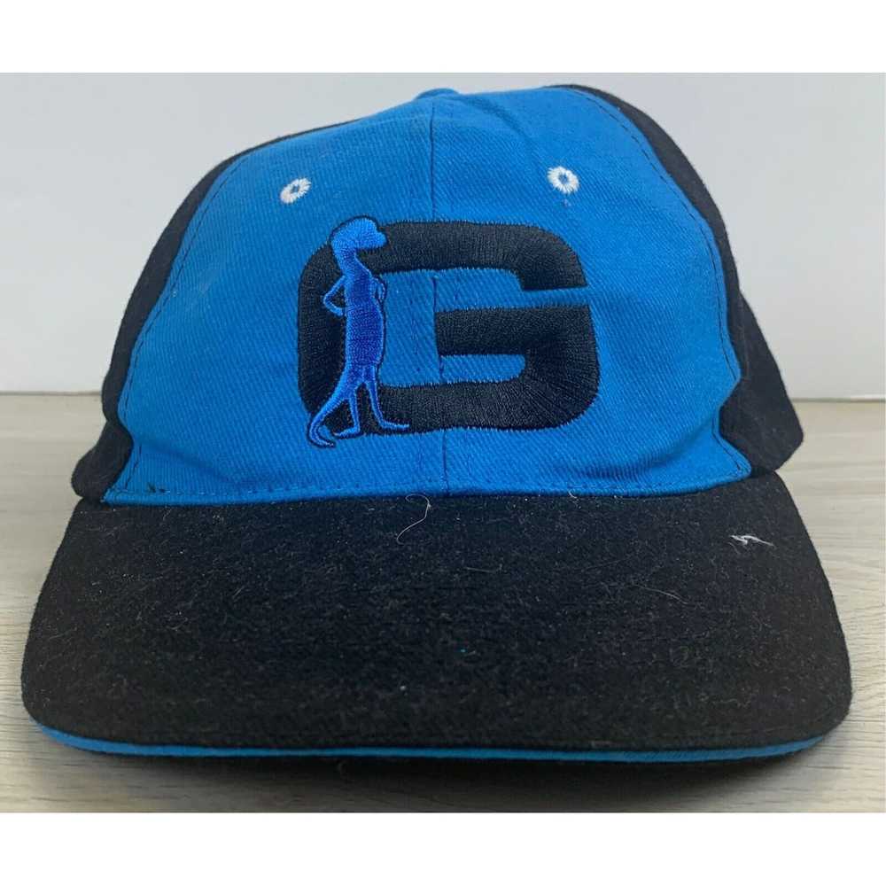 Other Geico Hat Blue Adjustable Geico Hat Adult B… - image 1