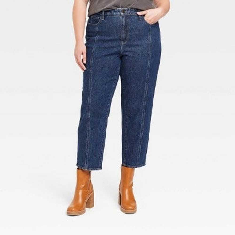Universal Thread Vintage Straight Jeans Size 22 - image 1