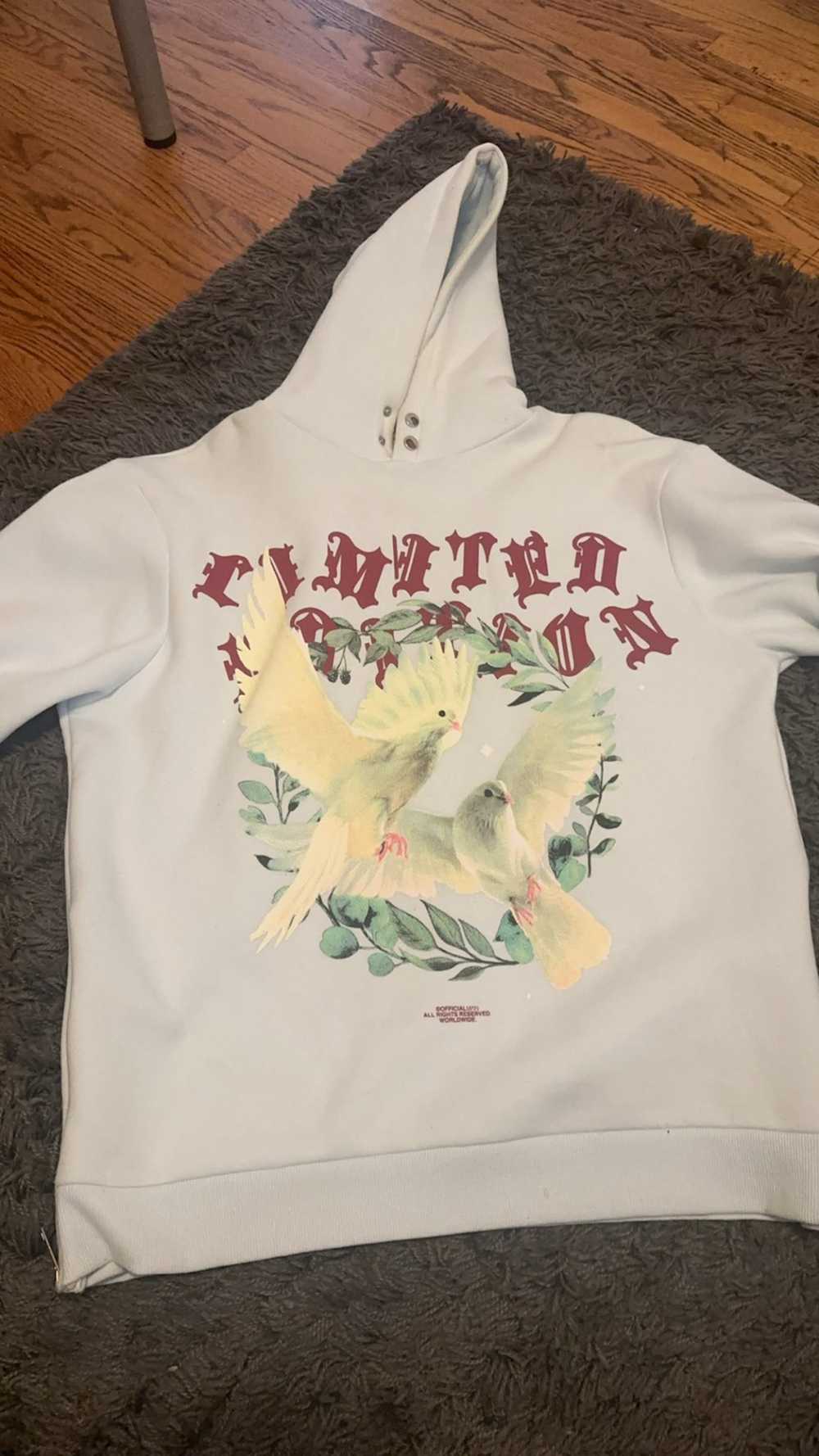 Streetwear Dove bird hoodie - image 1