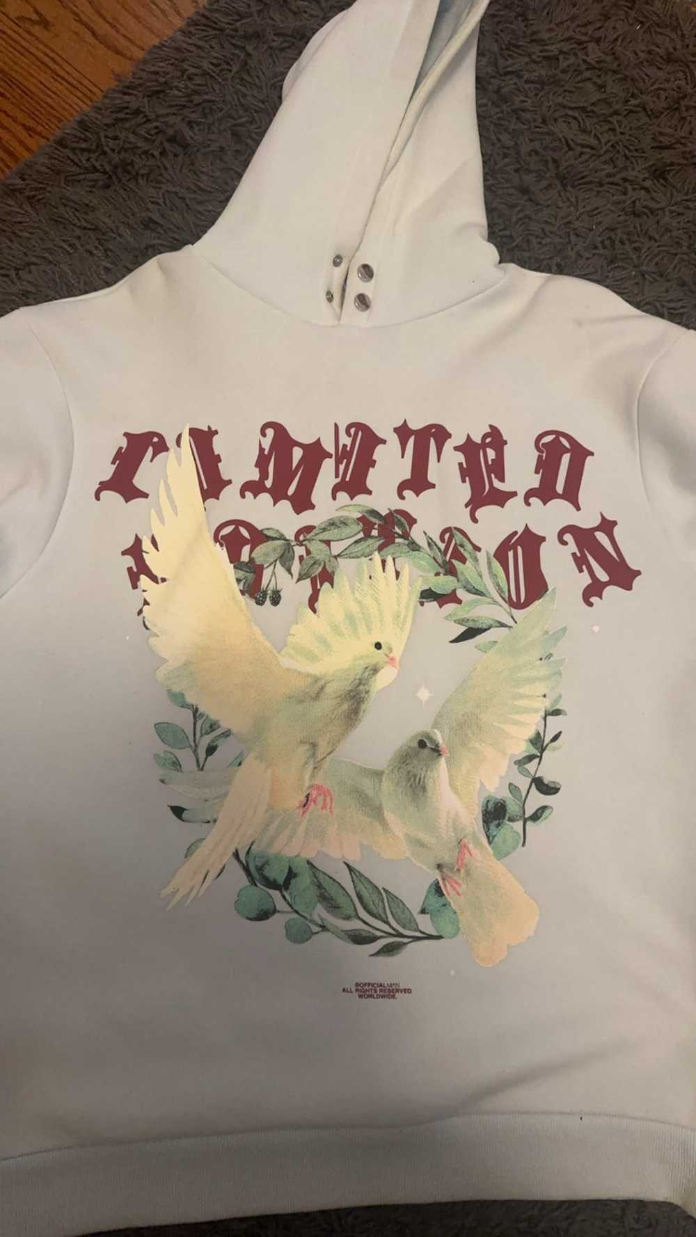Streetwear Dove bird hoodie - image 2