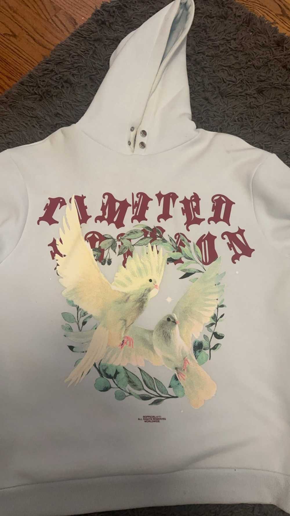 Streetwear Dove bird hoodie - image 3