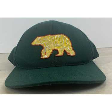 Other Camp Ridgecrest Hat Bear Hat Green Snapback… - image 1