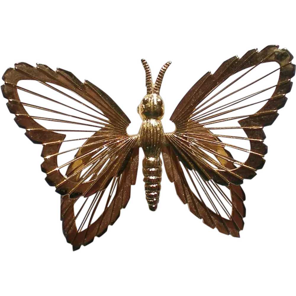 Wire Wing Butterfly Pin - image 1