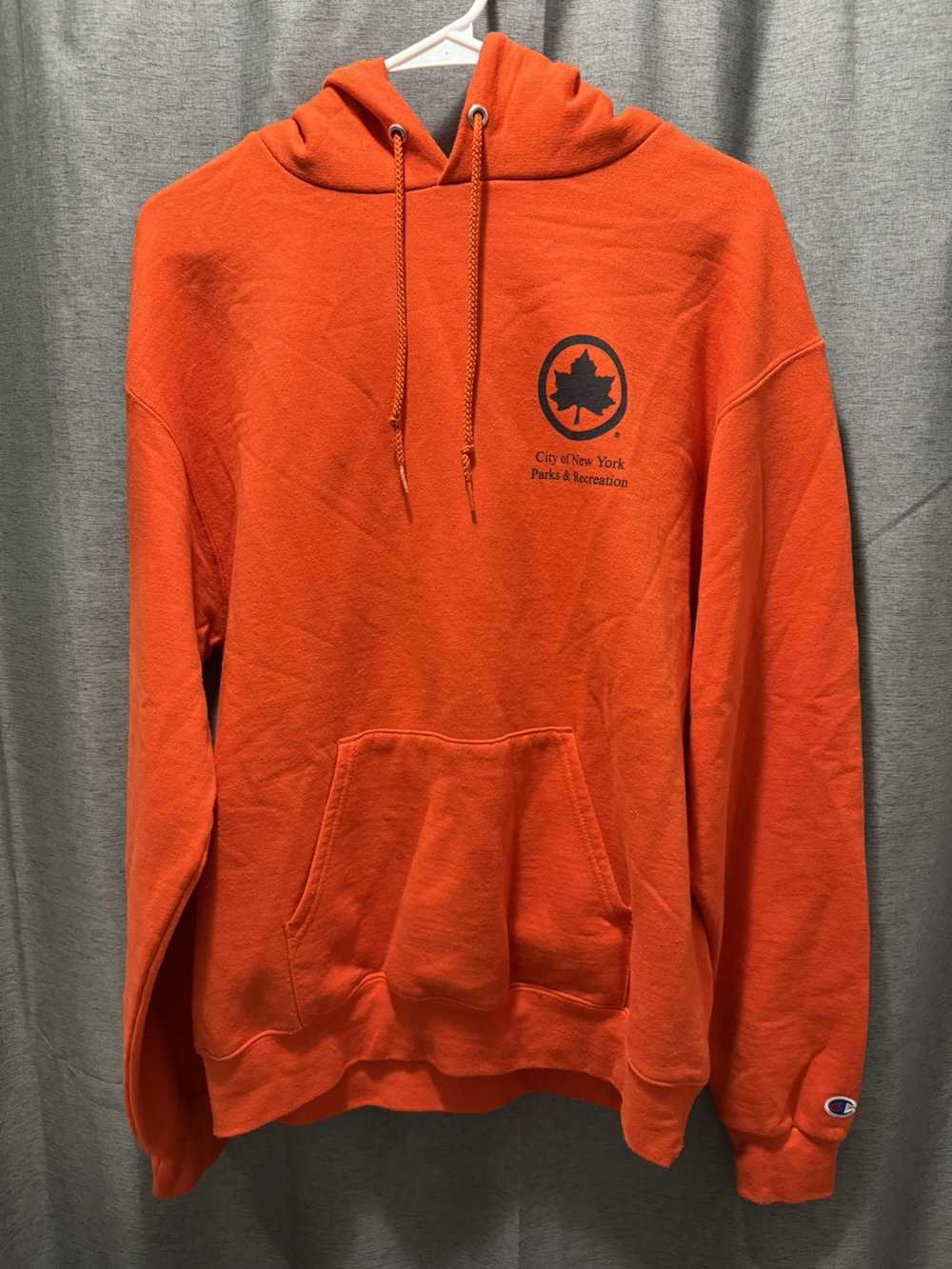 Only NY Only NY Parks Hoodie - image 1