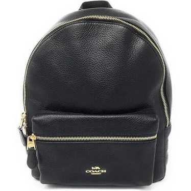 Mini charlie best sale backpack coach