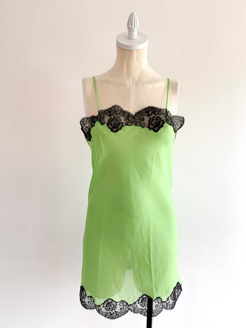 Absinthe & Black Lace Slip Dress - image 3