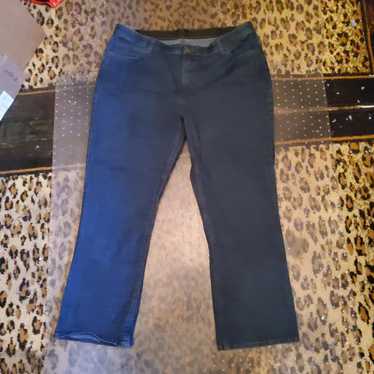 Designer 20W Indigo Jeans - image 1