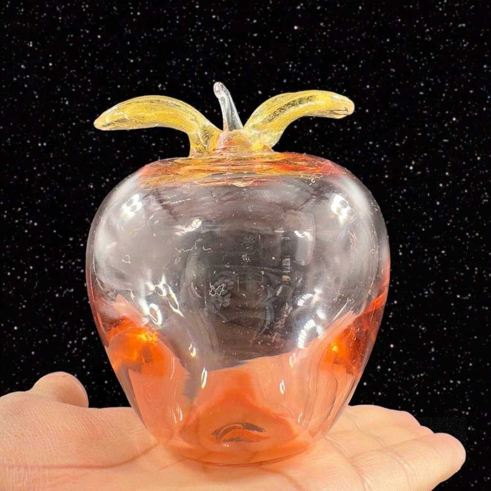 Other Venetian Hand Made Glass Apple Fruit Light … - image 11