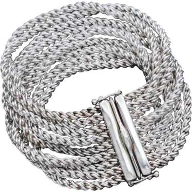 Tiffany & Co. Sterling Silver & 14K Gold Rope Mul… - image 1