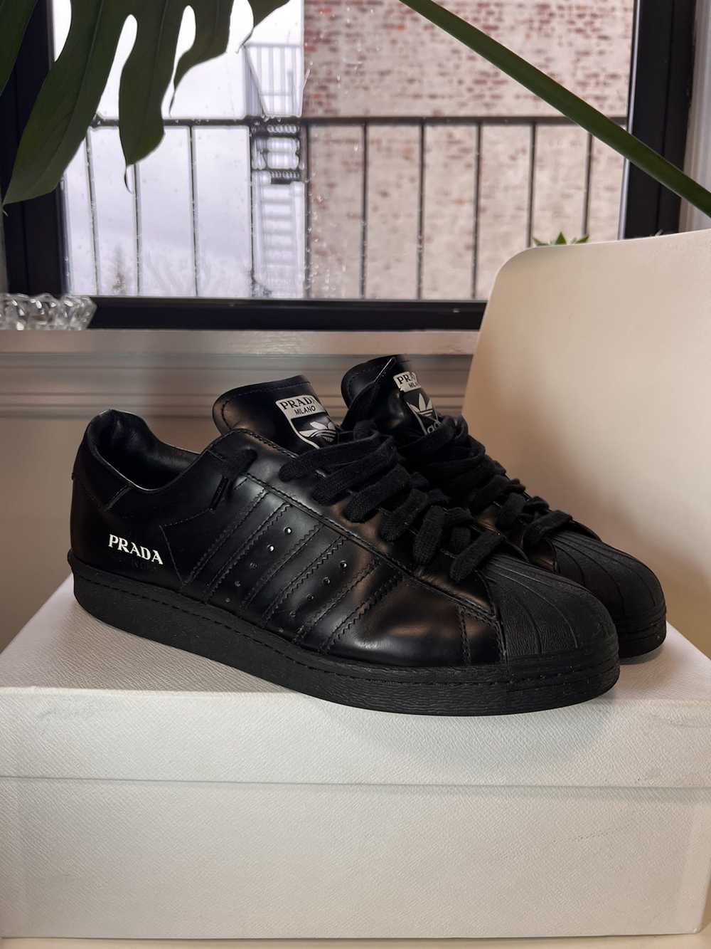 Prada pradaxadidas pradaxadidas superstar - Gem