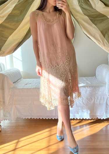 Vintage Early 1900s French Net Dress