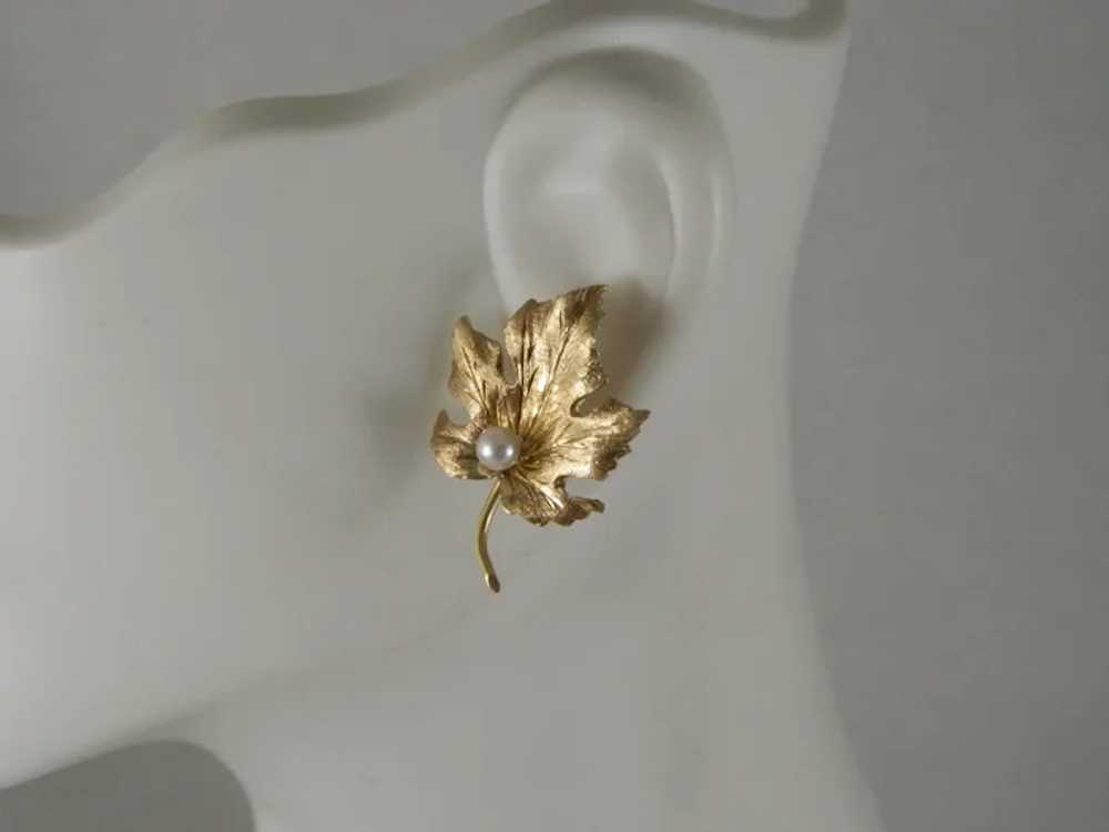 Vintage 1960's 14 K Yellow Gold Maple Leaf Brooch… - image 4