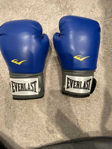 Everlast 12 ounce Everlast gloves