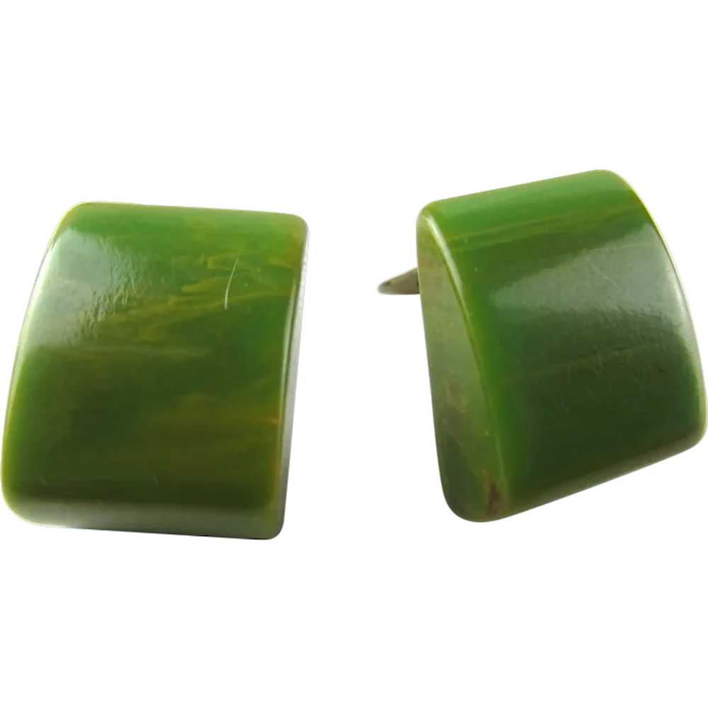 Mottled Green Bakelite Clip On Earrings - image 1