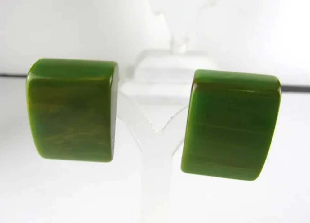 Mottled Green Bakelite Clip On Earrings - image 2