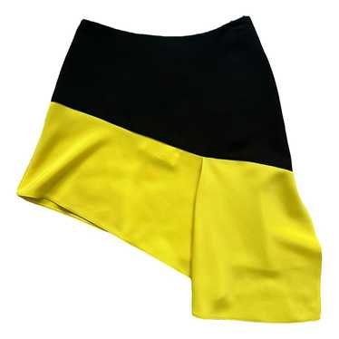 Balenciaga Skirt - image 1