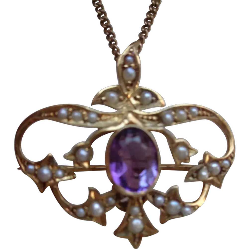 Pin/Pendant in 14K Gold w/ Amethyst and Seed Pear… - image 1