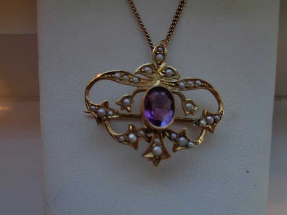 Pin/Pendant in 14K Gold w/ Amethyst and Seed Pear… - image 2