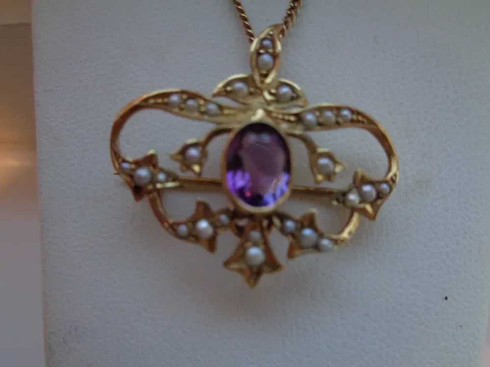 Pin/Pendant in 14K Gold w/ Amethyst and Seed Pear… - image 3