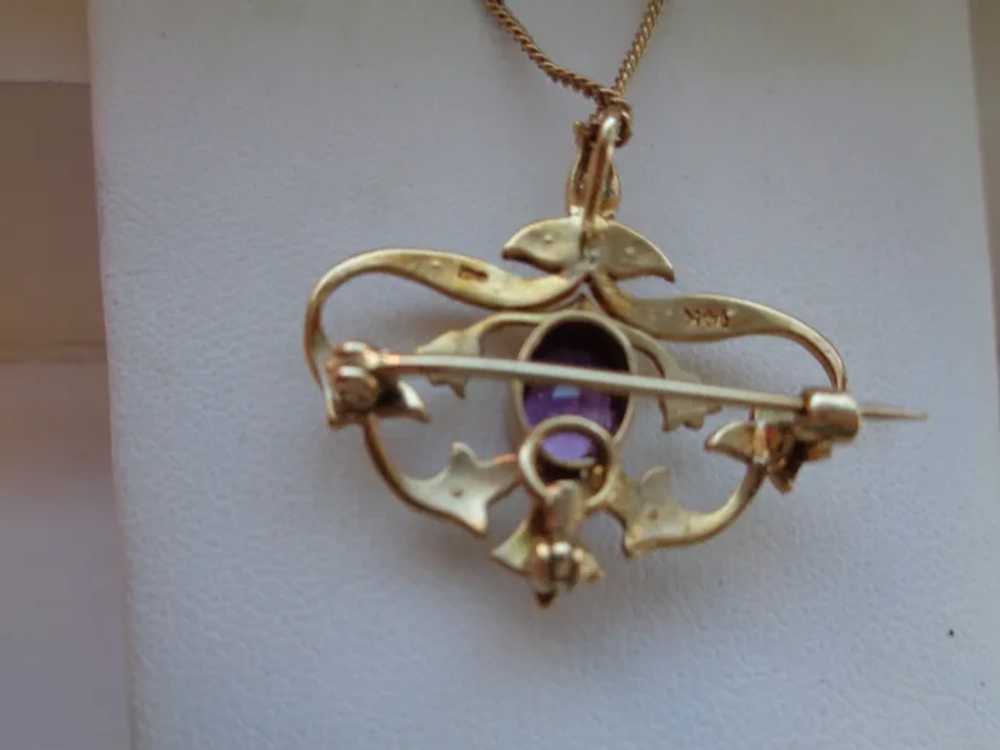 Pin/Pendant in 14K Gold w/ Amethyst and Seed Pear… - image 4