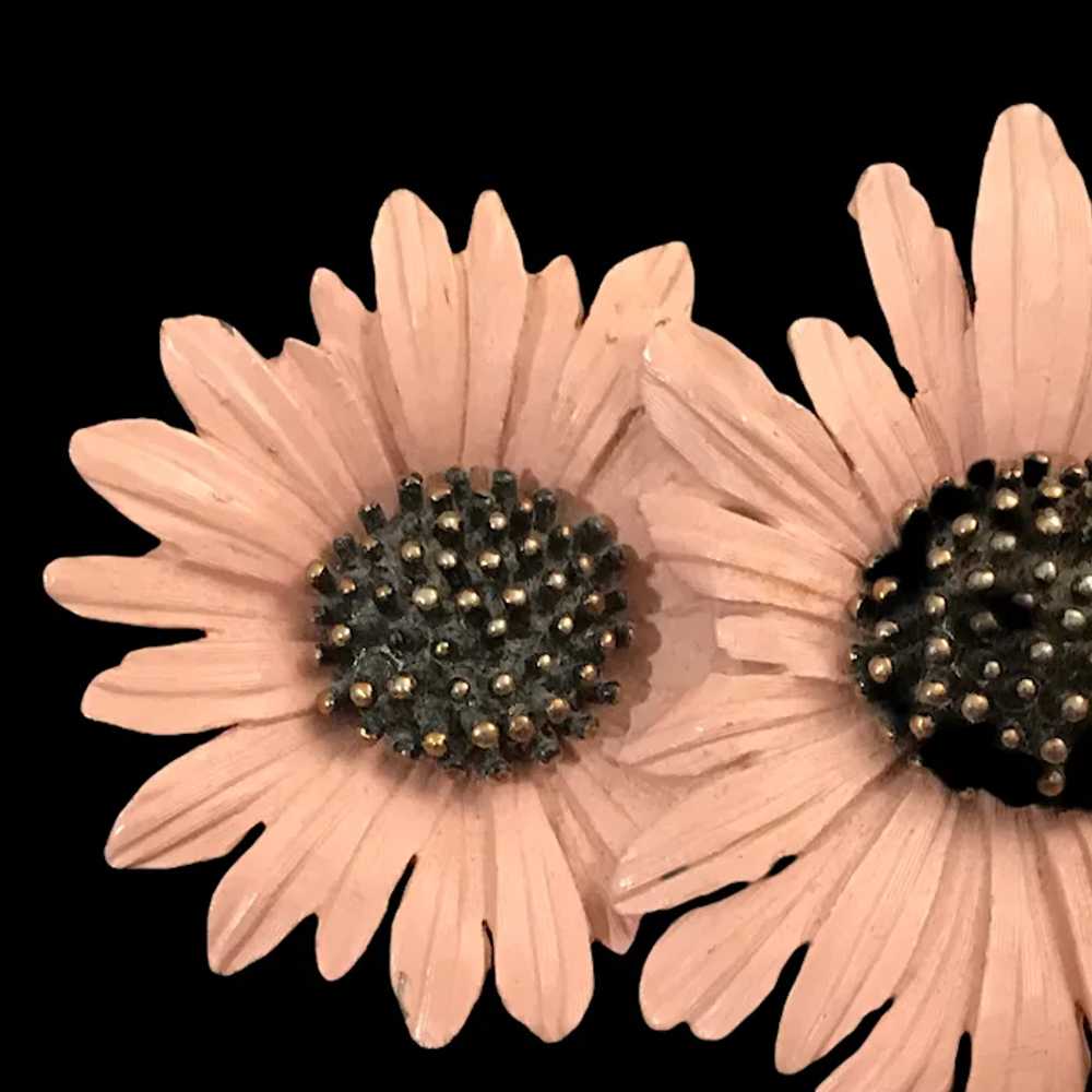 Pink Daisies Brooch, Ledo 1961 - image 2