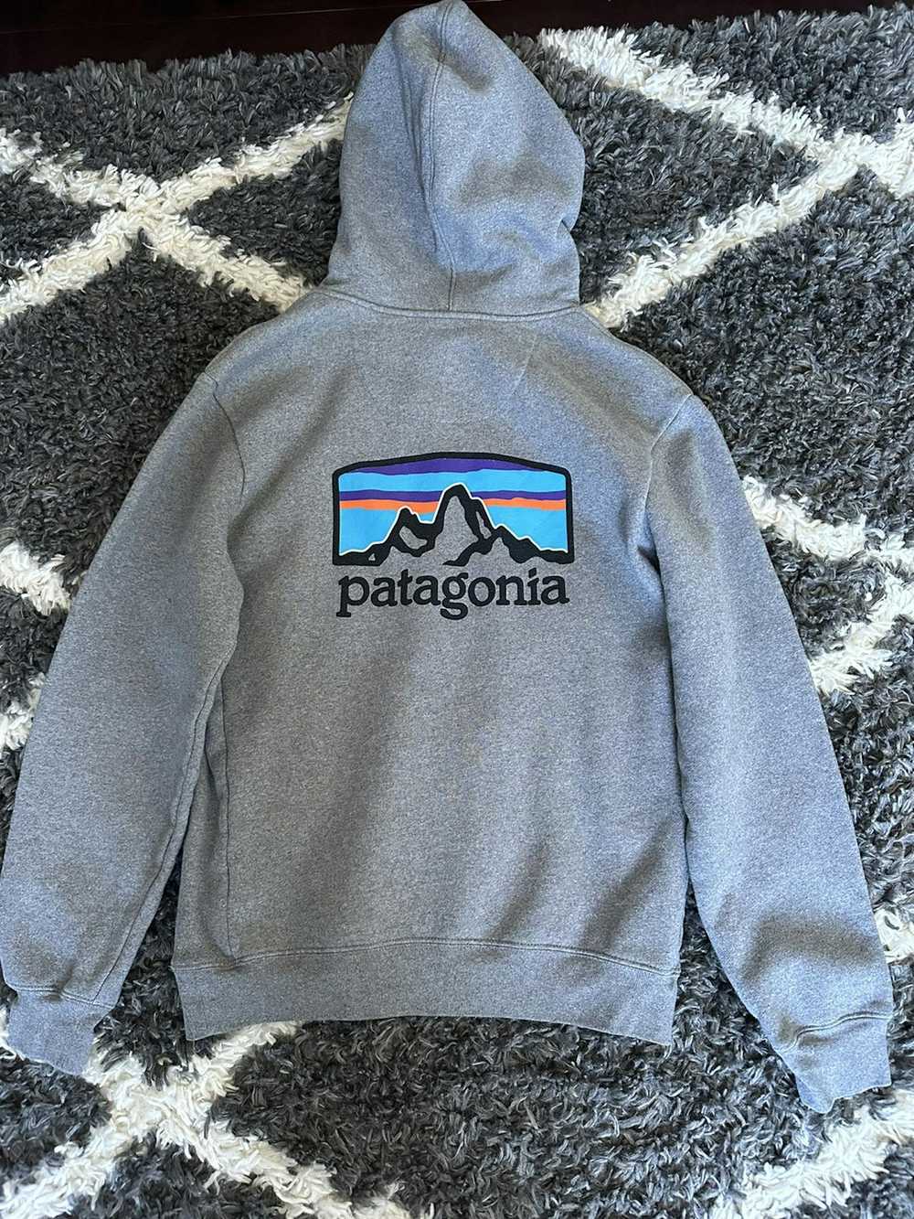 Patagonia Patagonia hoodie size small - image 4