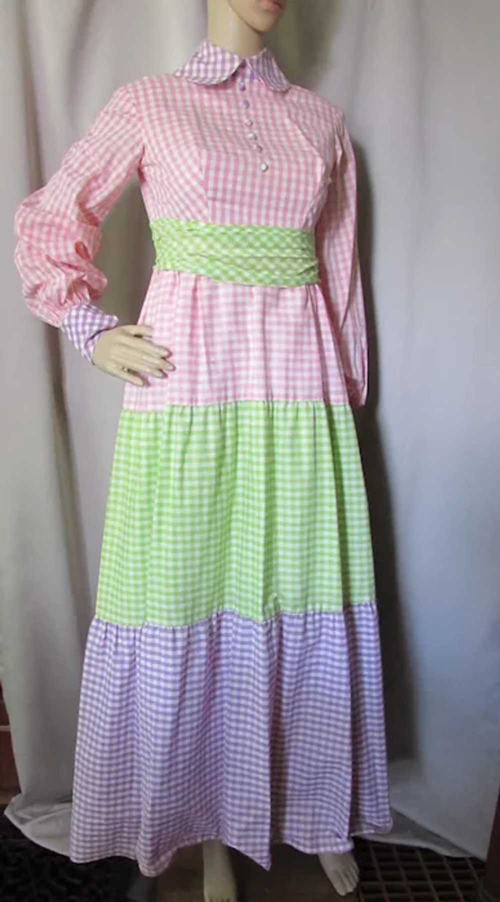 SALE Cutest Ever 1970 Era Country Style Prom Dres… - image 3
