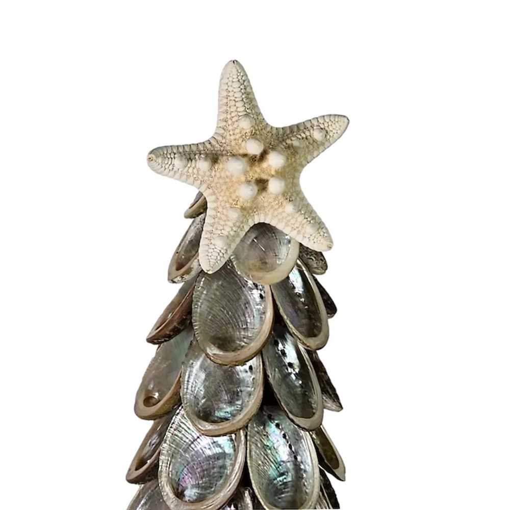 Silver Abalone Shell Christmas Tree Topiary - image 8