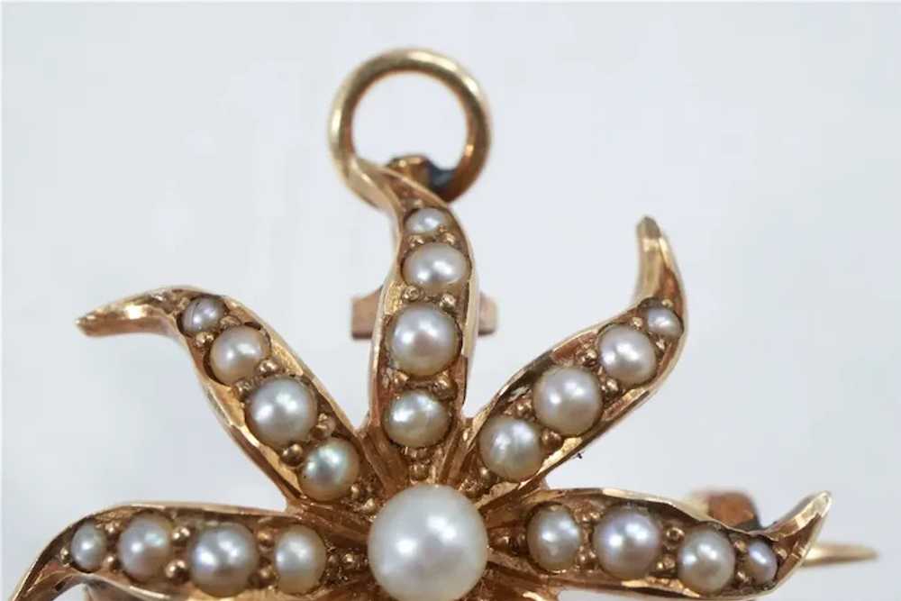Vintage 14K Gold Pearl Pendant/Brooch - image 2