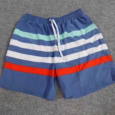 Chubbies Chubbies Swim Shorts L Blue Lined Stripe… - image 1