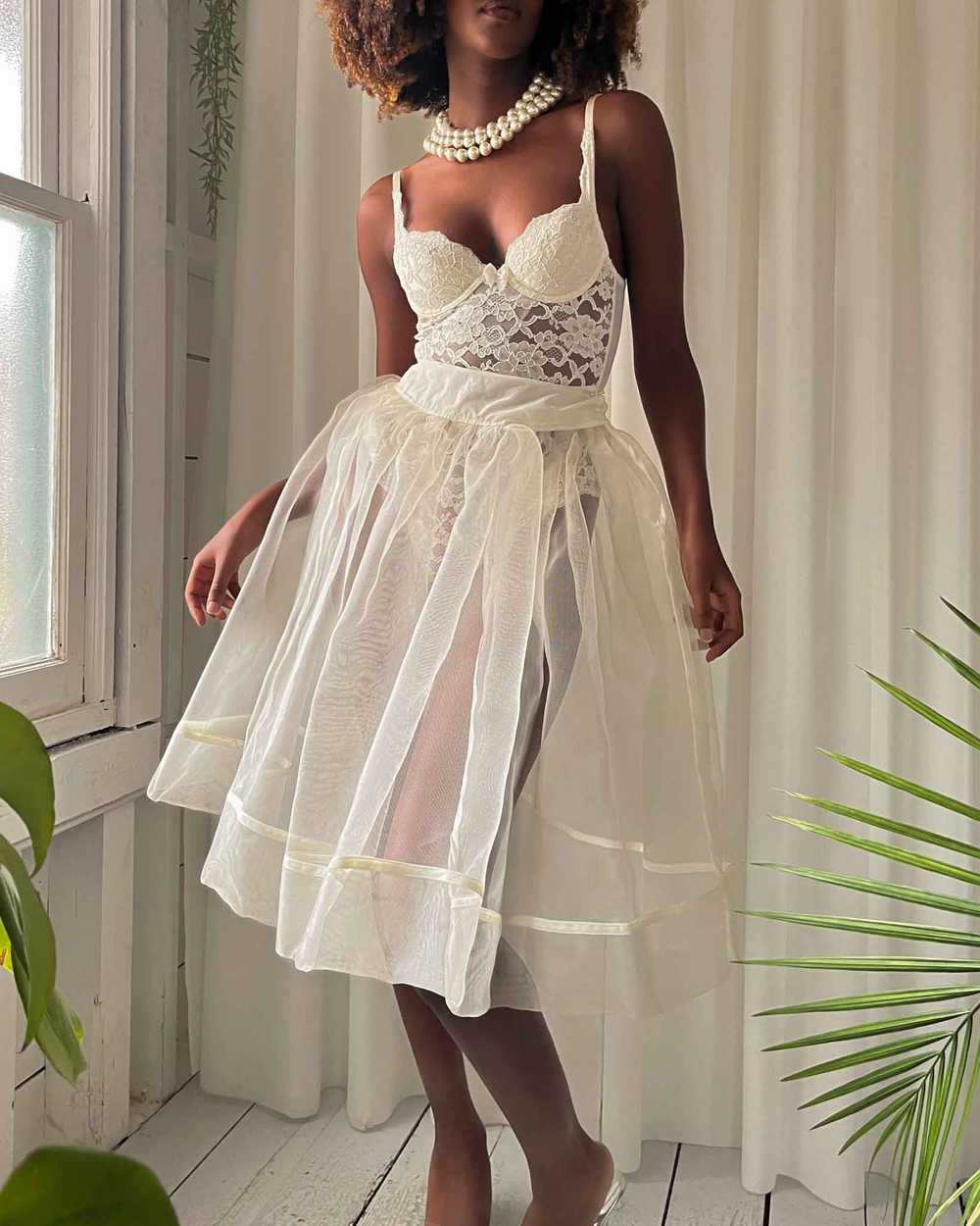 50s Sheer Petticoat Skirt - image 1