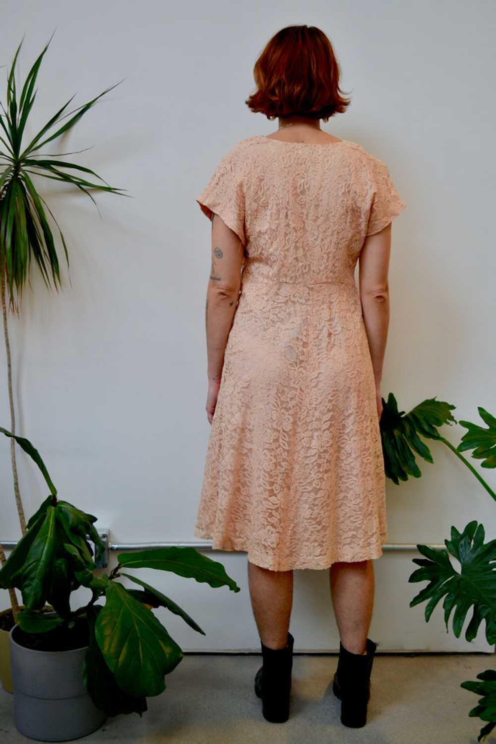 Fifties Blush Lace Dress - image 3