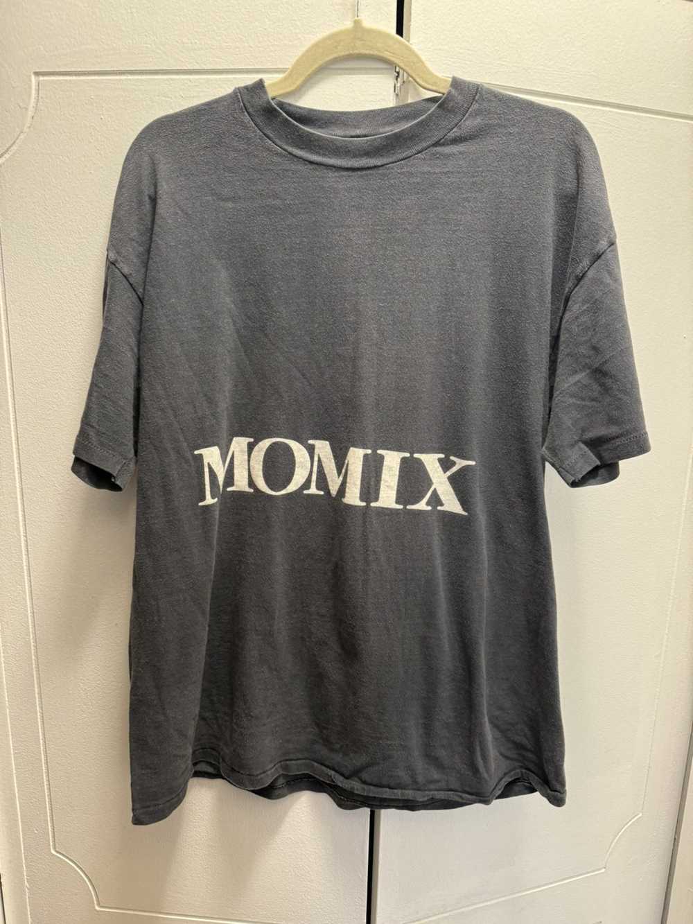 Hanes × Vintage MOMIX Vintage Dance Company Shirt… - image 1