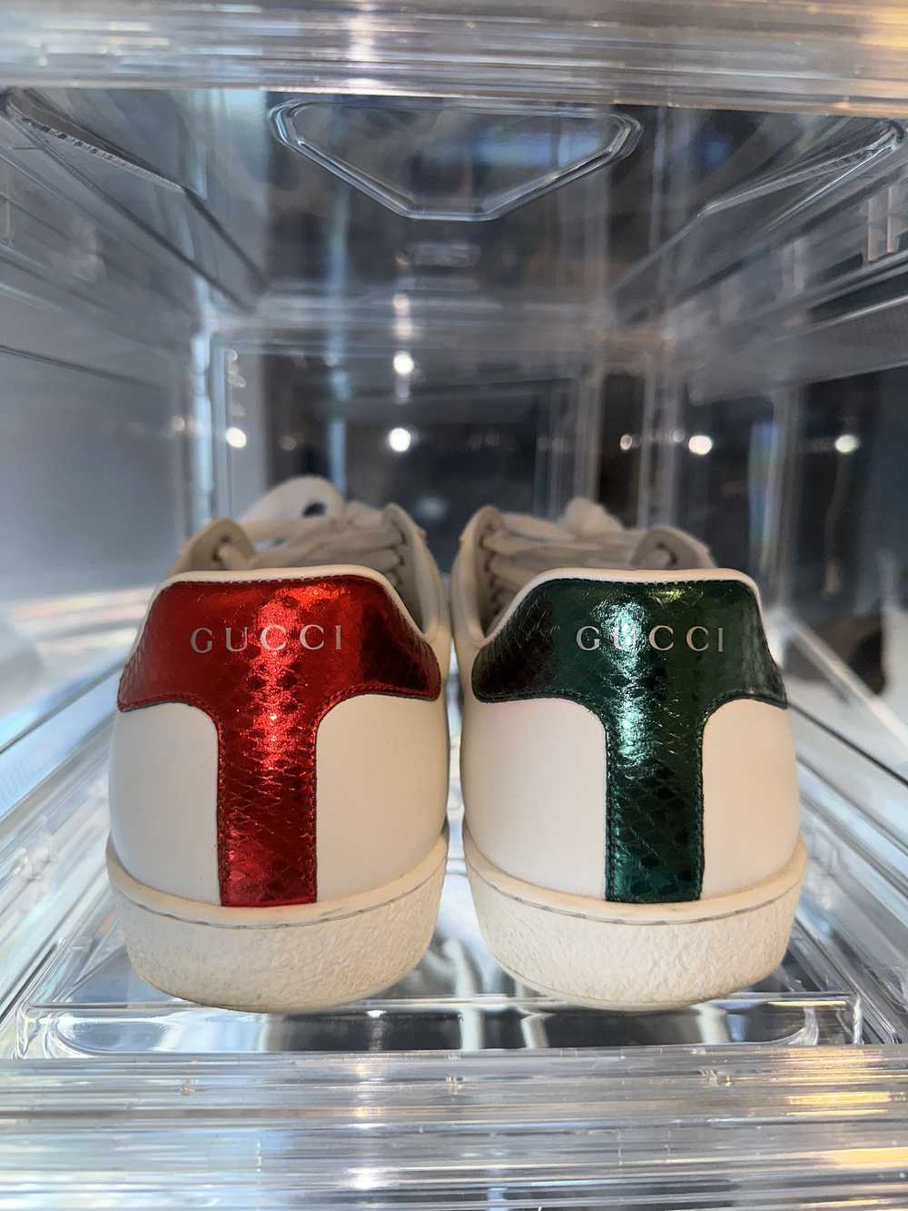 Gucci Gucci Ace Bees - image 3