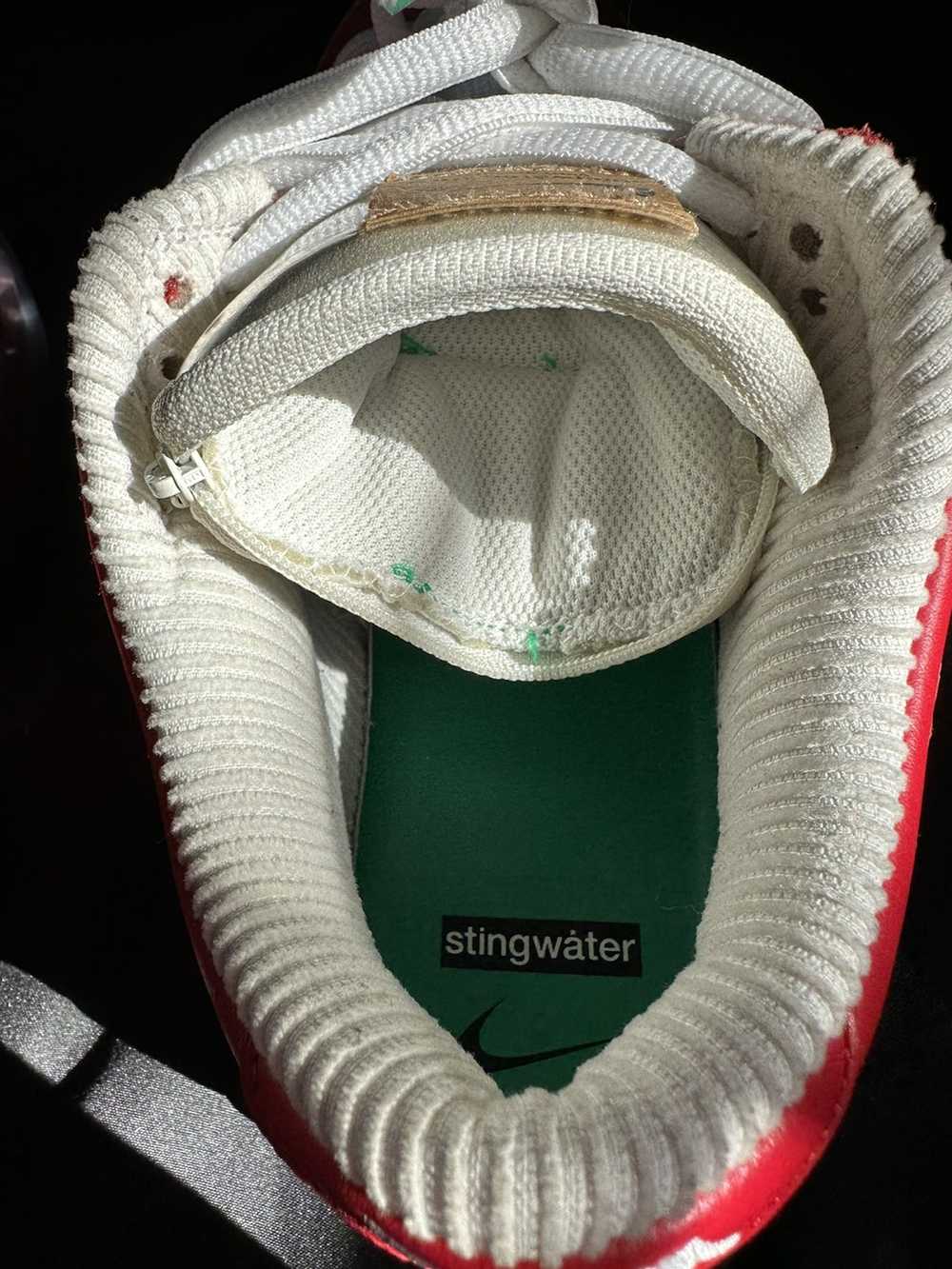 Nike × Stingwater Stingwater SB Nike dunk low - image 11
