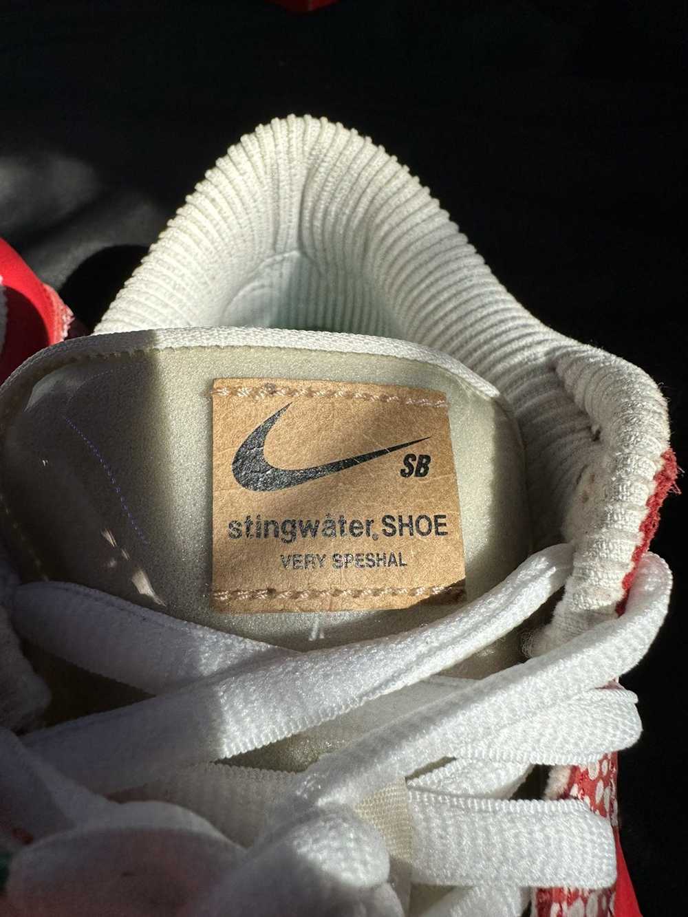 Nike × Stingwater Stingwater SB Nike dunk low - image 9