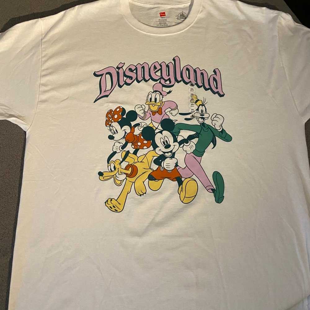 Disneyland Parks Adult tshirt - image 1