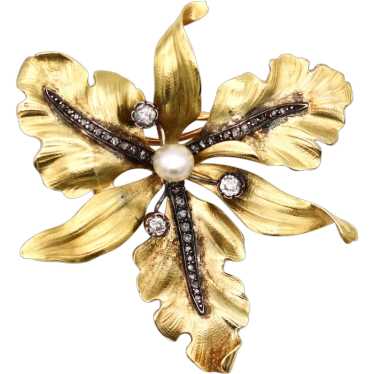 French 1900 Art Nouveau Orchid Pendant Brooch In … - image 1