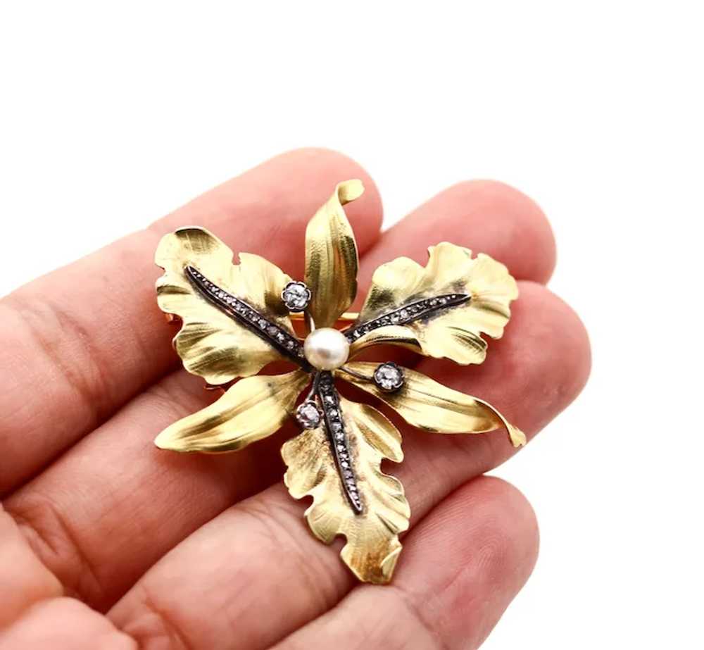 French 1900 Art Nouveau Orchid Pendant Brooch In … - image 6