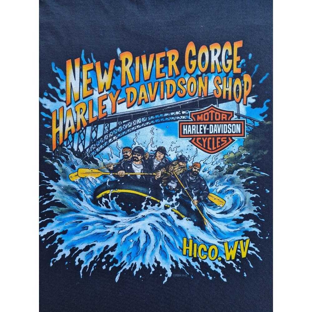 Harley Davidson New River Gorge Hico, WV Double S… - image 5