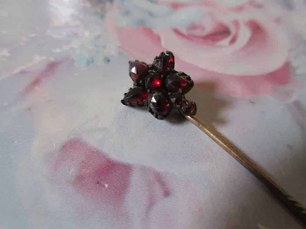 Antique Bohemian Garnet Star Flower Stick Pin - image 2