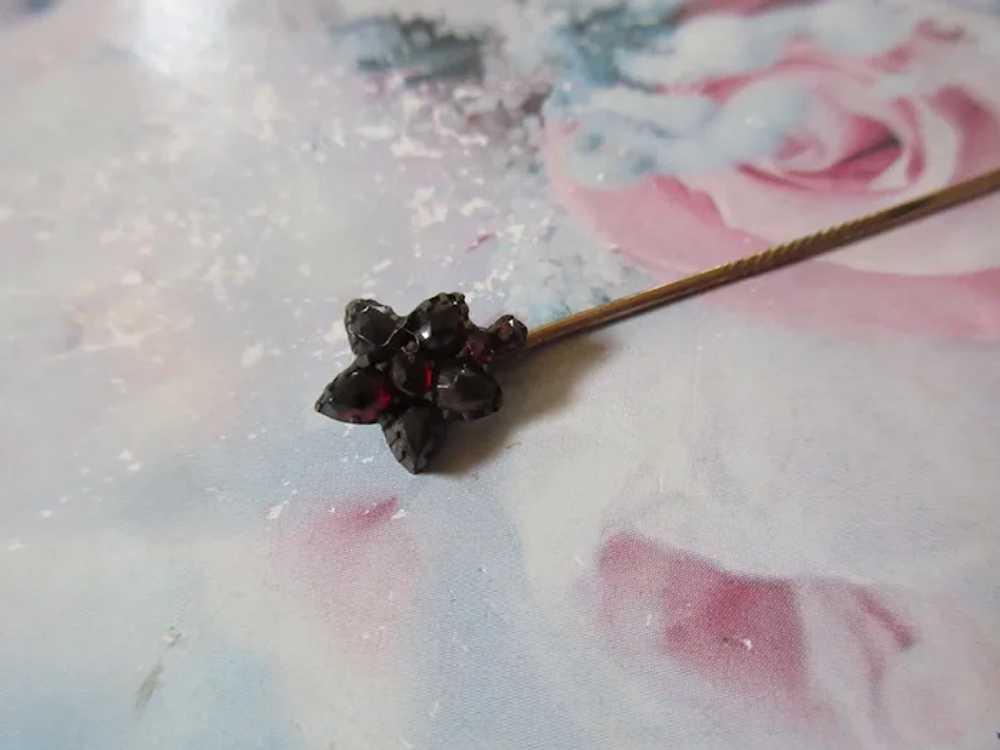Antique Bohemian Garnet Star Flower Stick Pin - image 4