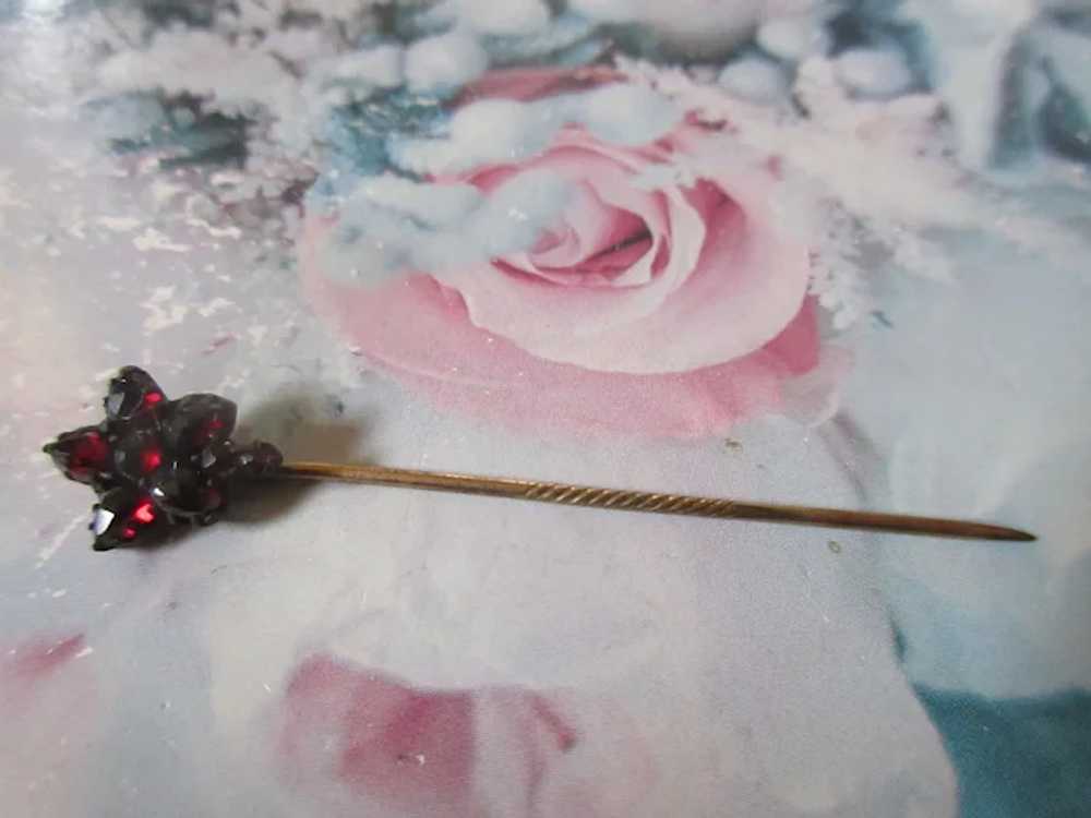 Antique Bohemian Garnet Star Flower Stick Pin - image 5