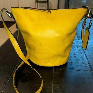 Light Yellow Clear Shoulder Bag Purse 2 in 1 Transparent Crossbody Bag –  Bella Valentina LA