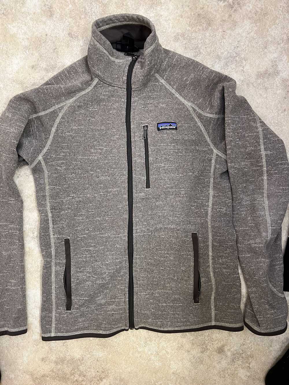 Patagonia Patagonia Zip-Up Fleece - image 1