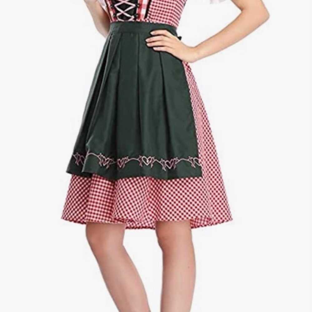 Bavarian Dirndl Plus Size Dress 2-Pieces with Apr… - image 1