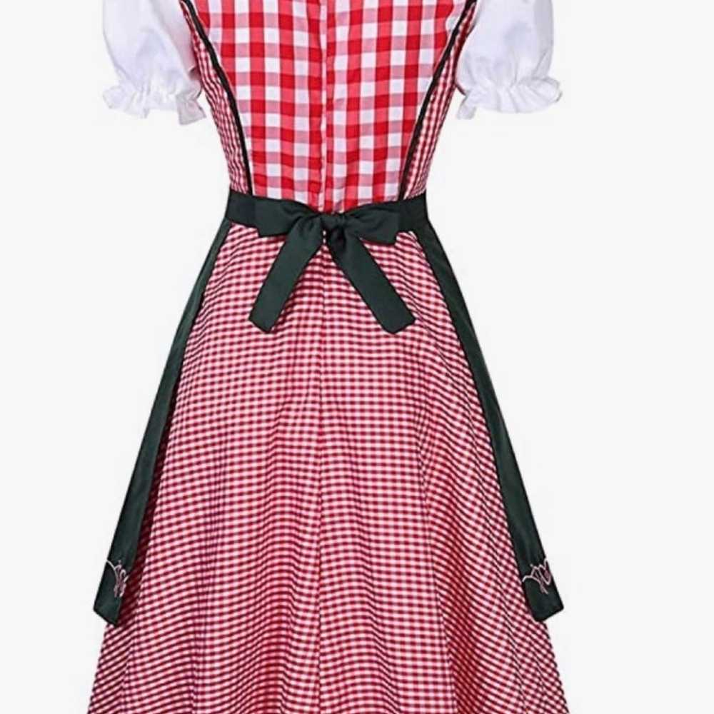 Bavarian Dirndl Plus Size Dress 2-Pieces with Apr… - image 3