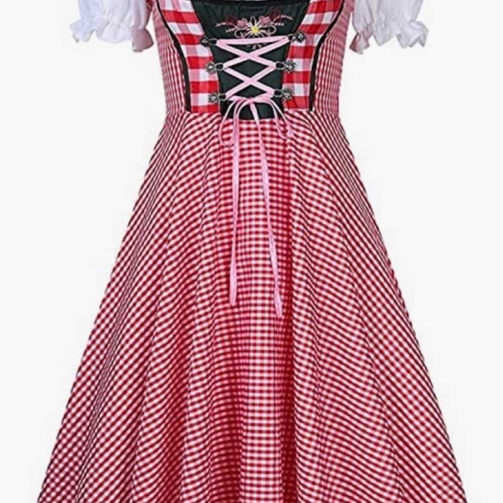 Bavarian Dirndl Plus Size Dress 2-Pieces with Apr… - image 4